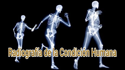 El Pecado: Qué Es y Cómo Determinar El Nivel En Que Estamos