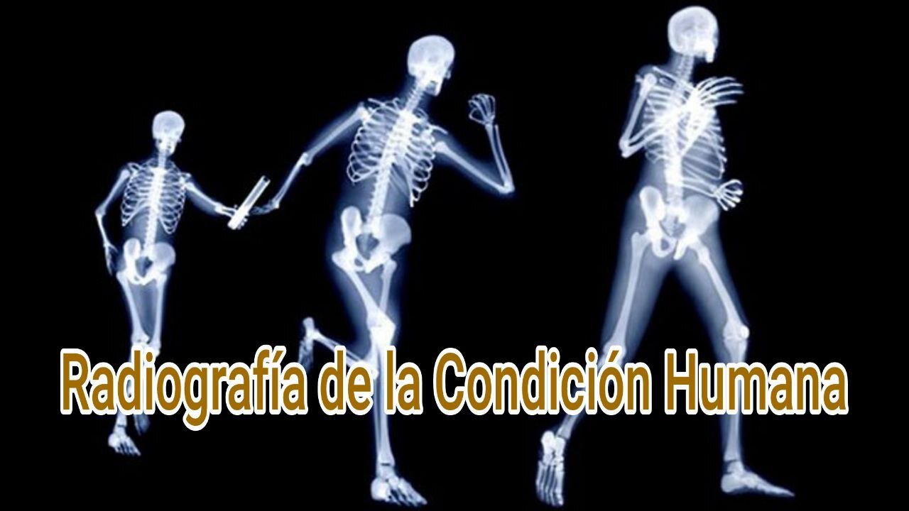 El Pecado: Qué Es y Cómo Determinar El Nivel En Que Estamos