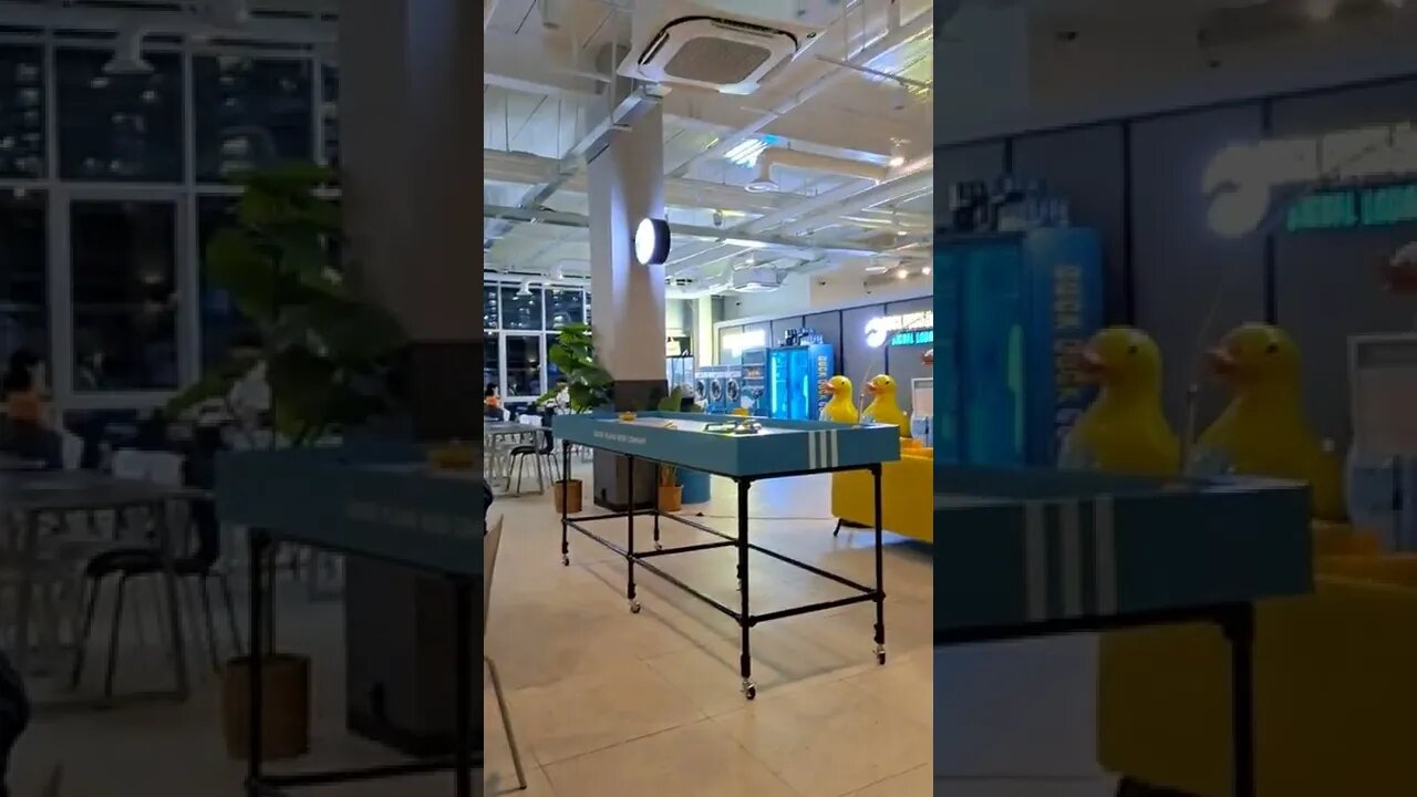 한강. 오늘은 덕덕구스 시그널라운지 마지막날