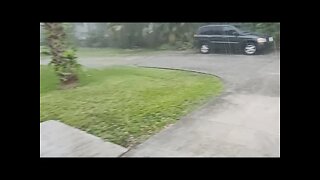 Live Palm Beach Hail