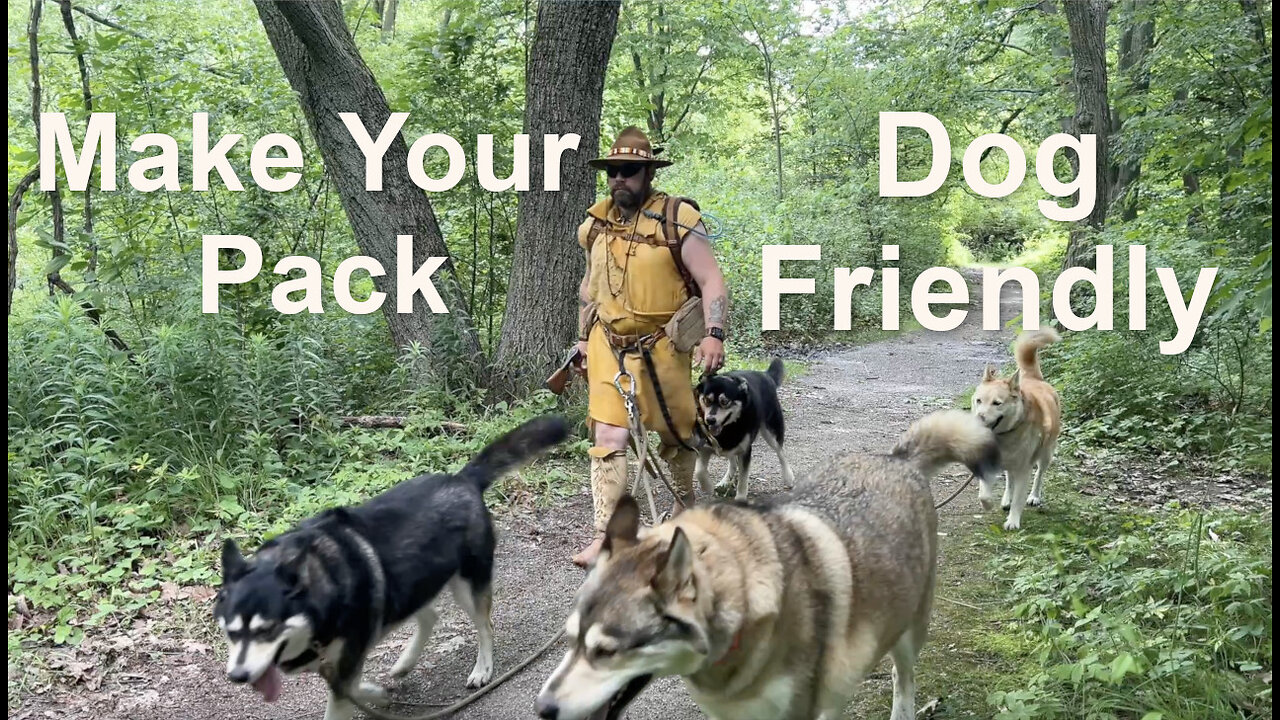 Making Your Bushcraft Pack Dog Friendly