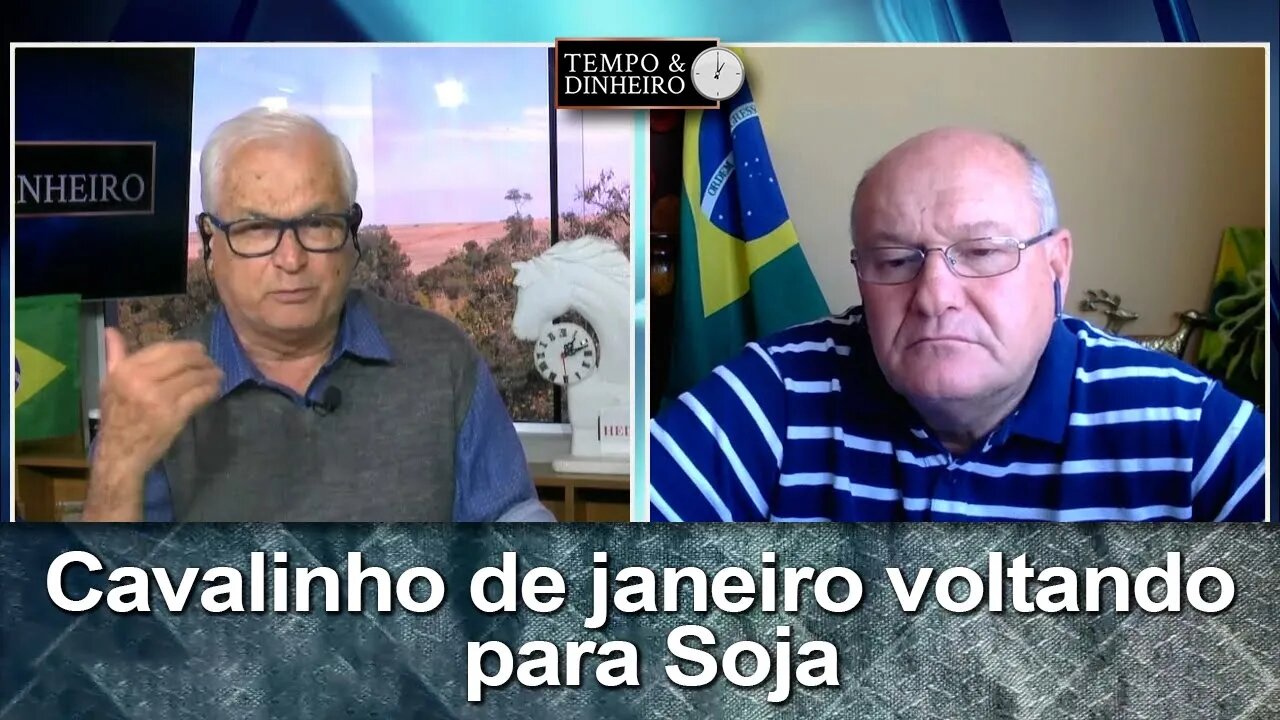 Cavalinho de janeiro voltando para Soja