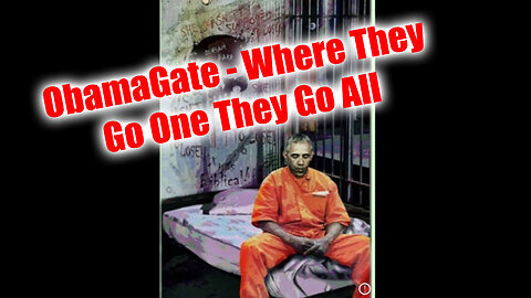 ObamaGate - Where They Go One They Go All