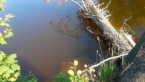 【各位老鐵不喜勿入可繞過】寂靜的小溪邊