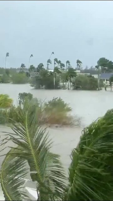 Boats driving on floodwater in Everglades City, FL | Video Credit: Kendell Wooten