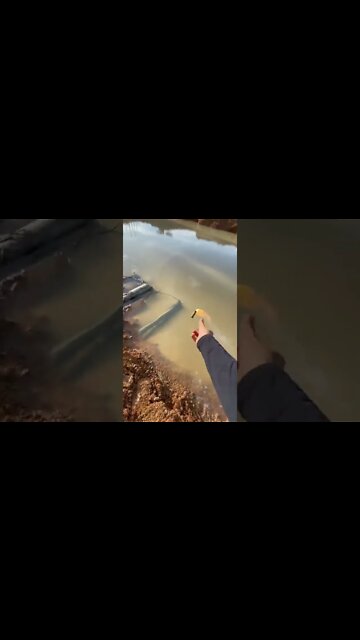 #shorts #2022 funny,prank,funjokes,dad jokes,funny memes,funny video,fun,laughing,funny animal,knock