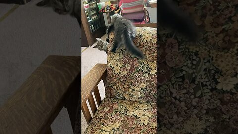 Mama Says Get Down!