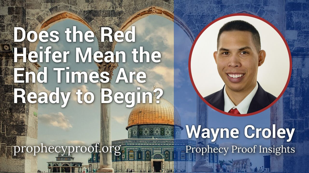 Does the Red Heifer Mean the End Times Are Ready to Begin?