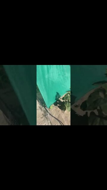 Slow and steady part 2