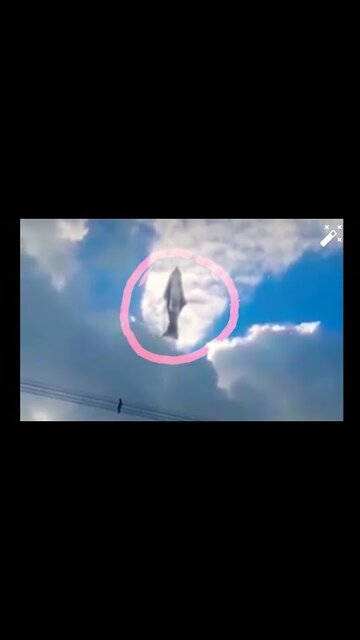 JESUS captured in camera