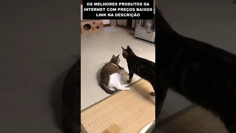 não mexa com quem tá quieto