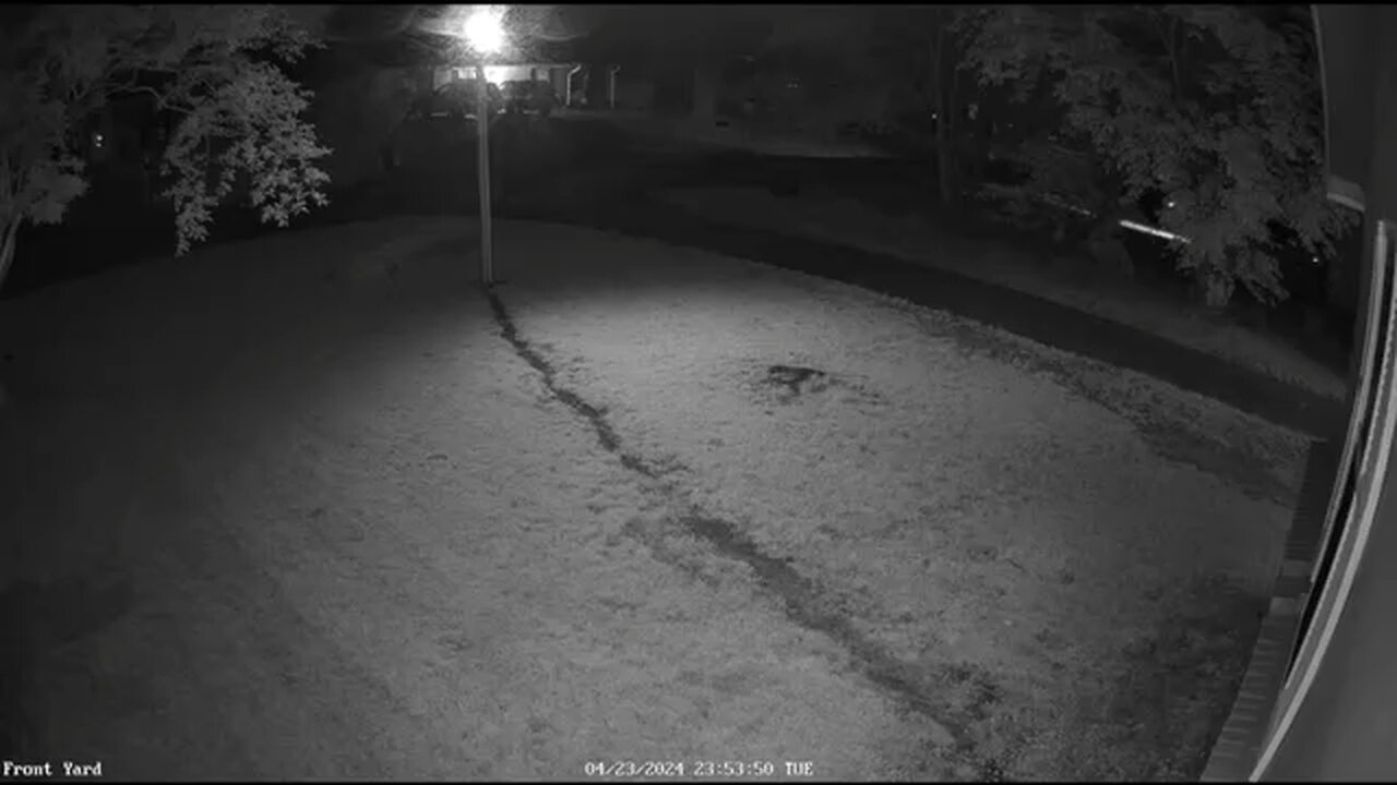 Reolink Cameras: Two teens run behind my house to hide from someone