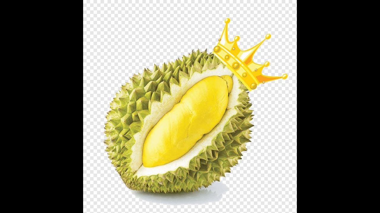 The Allure of Durian: Exploring the King of Fruits