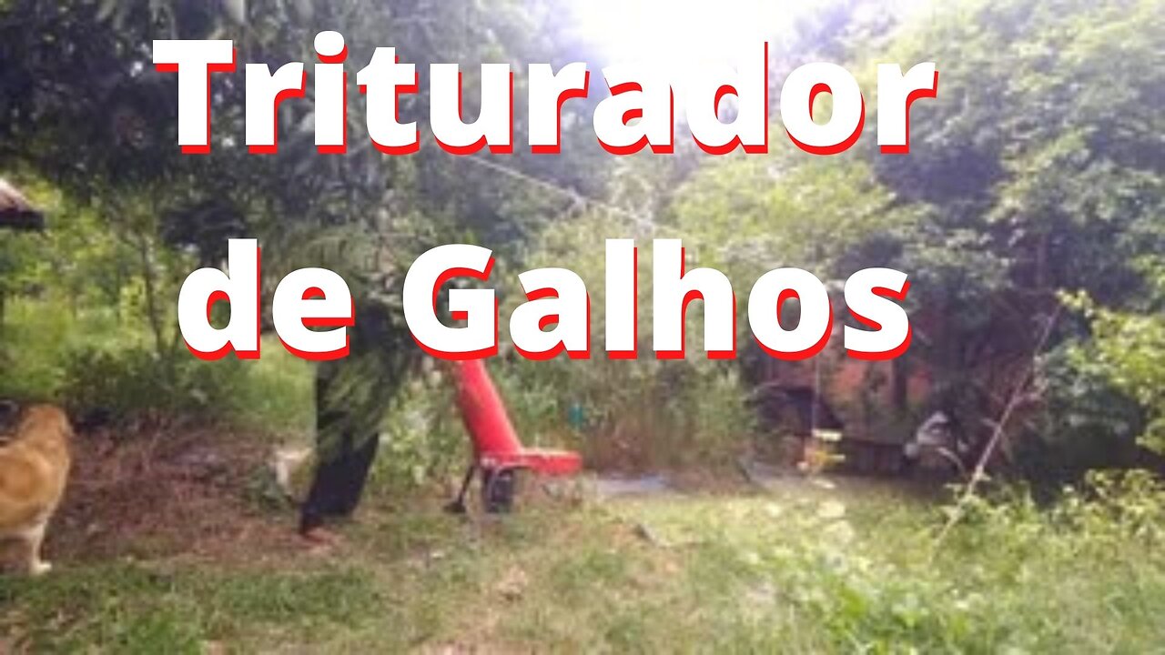 Conheça o Triturador de Galhos para fazer composto orgânico