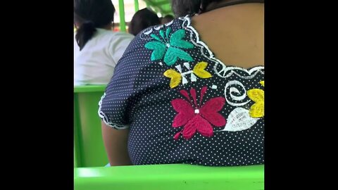 Brackenridge Park and the new Choo-chop train