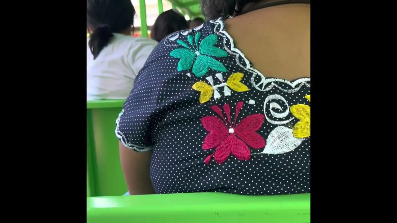 Brackenridge Park and the new Choo-chop train