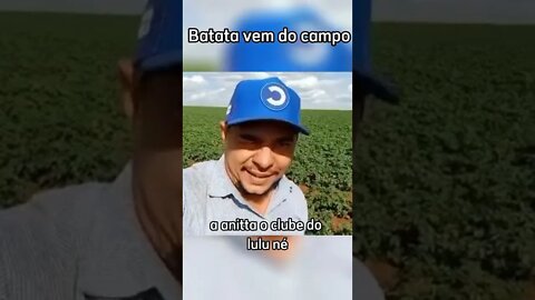 O agro põe comida na nossa mesa