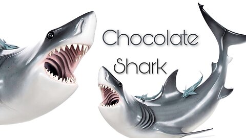 Chocolate Shark