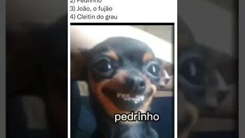 NA VIDA VOCE SERIA QUAL DESSES ? PARA QUEM CURTE CACHORRO ( MEME ) ( VIRAL ) ( RIR ) #shorts