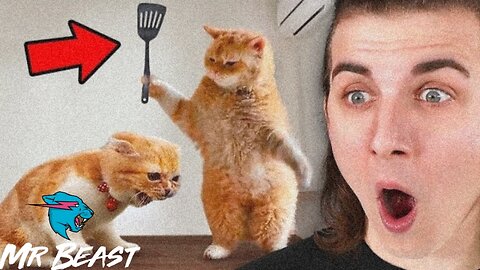 Funniest animal on the Internet..!