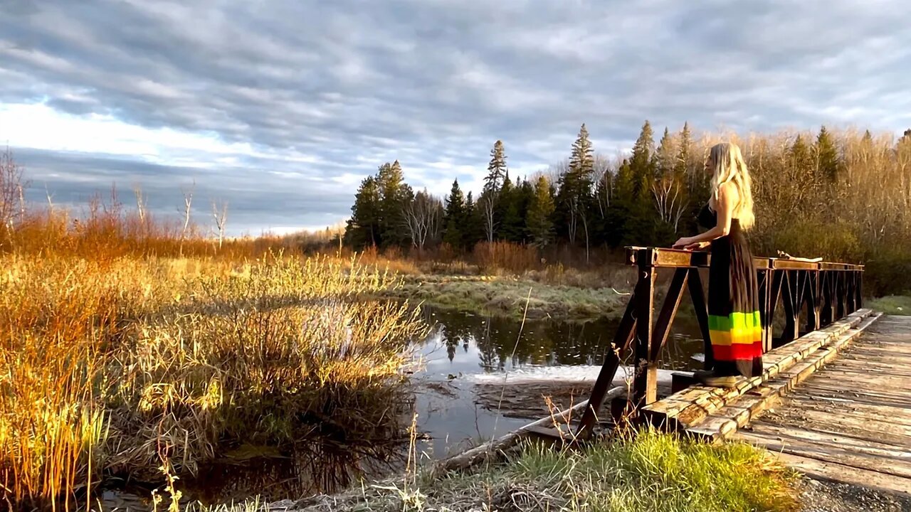 When WOLVES HOWL//Solo Off Grid Living/Nature Healing/-EP 14