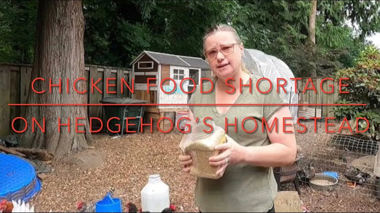 Let’s go take care of all the stuff on the Homestead