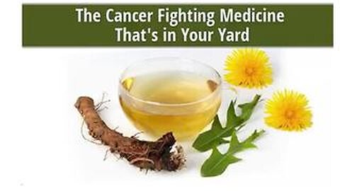 DANDELION turns out to be one of the best things you can take to cure cancer