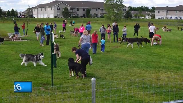 Bellevue Dog Park