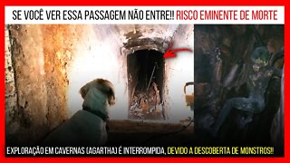 Exploração de florestas