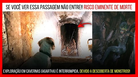 Exploração de florestas