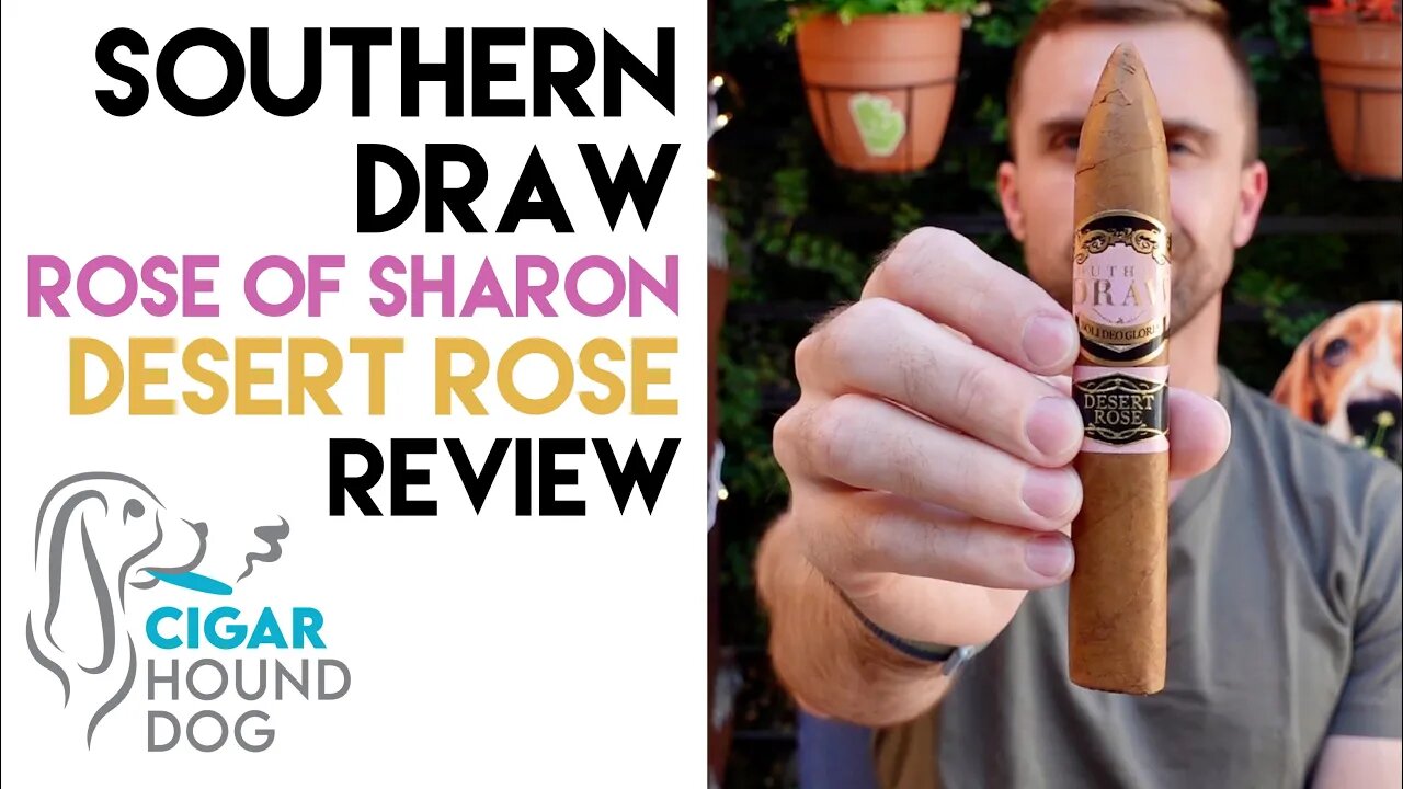 Southern Draw Rose of Sharon Desert Rose Cigar Review