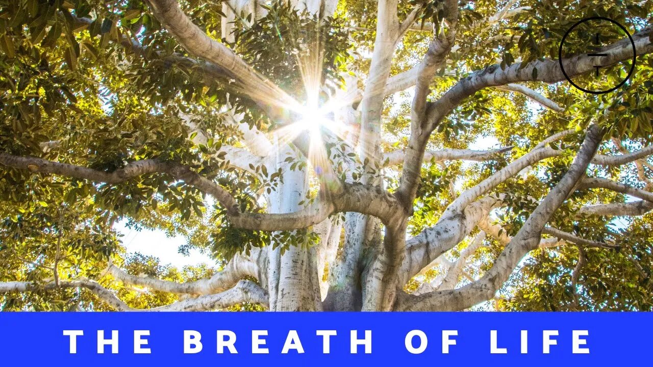 The Breath Of Life | Naomi Laumond | Immanuel Tabernacle