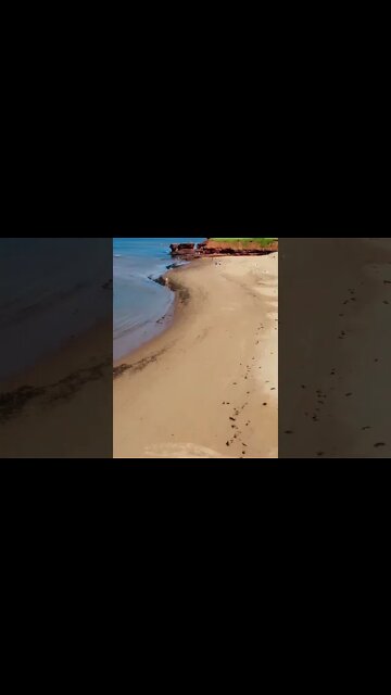 Landing Drone on the Beach