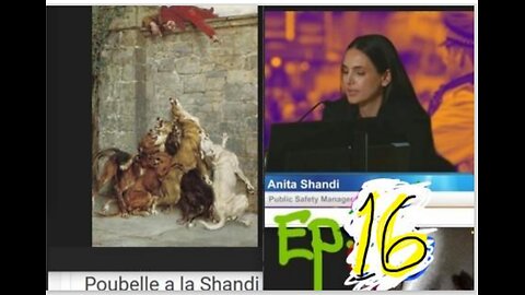 Poubelle à la shandi ep.16 VID 20241003 033955