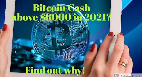 Why You Should Buy and HODL Bitcoin Cash now