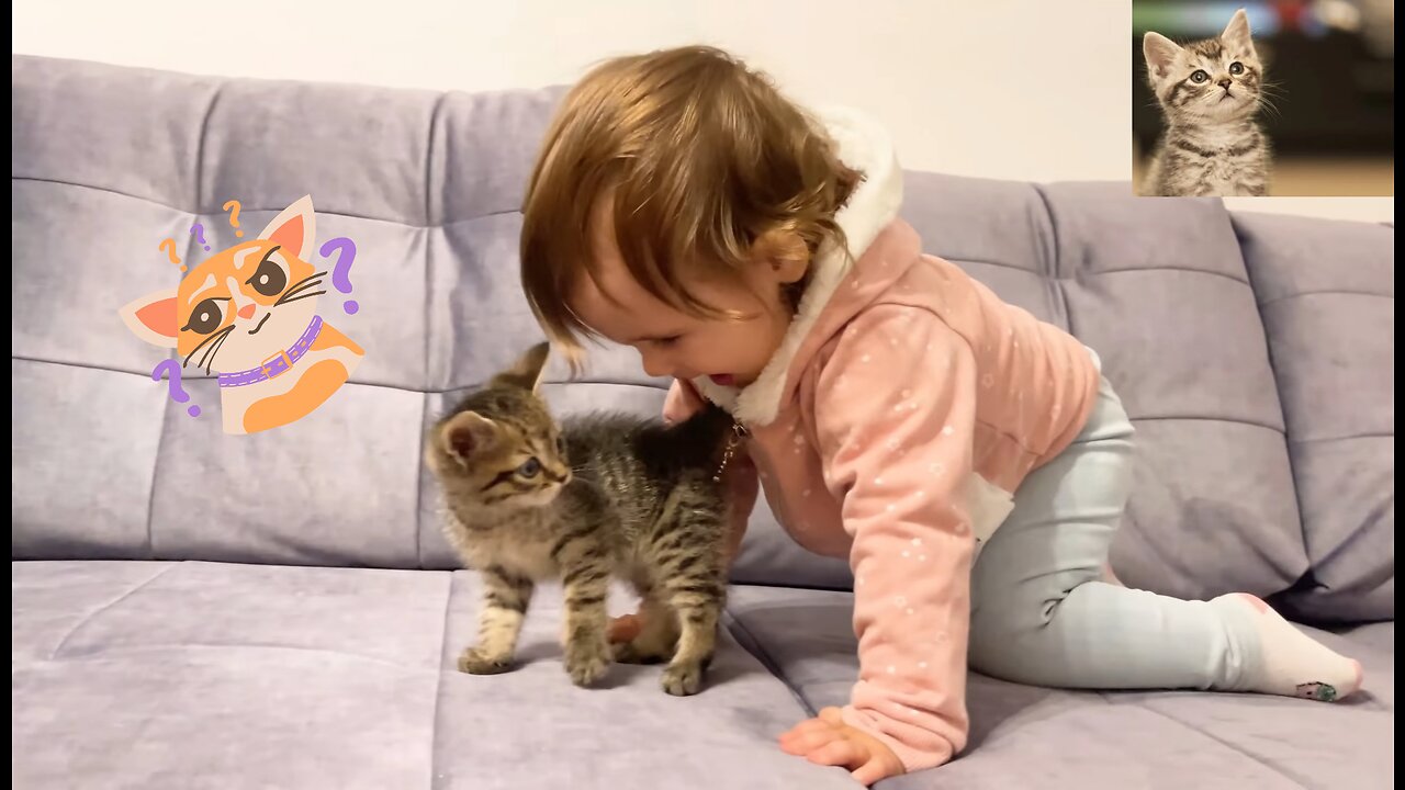 Cute cat meet cute baby , funny and lovely time 😍