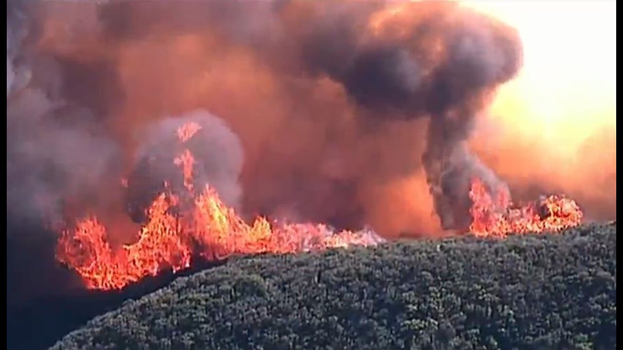 Bird Flu In Man In Colorado As Millions Of Chickens Culled*Growing Wildfires In New Mexico & Nevada*