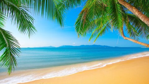 Relaxing Island Dream Music for Writing - Palm Tree Island ★585