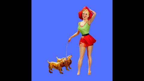 DOG TRAINING FUNDAMENTALS: LESSON 1 In 2022