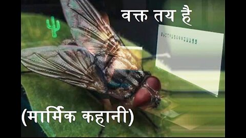 "वक्त तय है" और "नालायक"