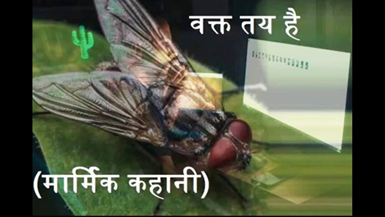 "वक्त तय है" और "नालायक"