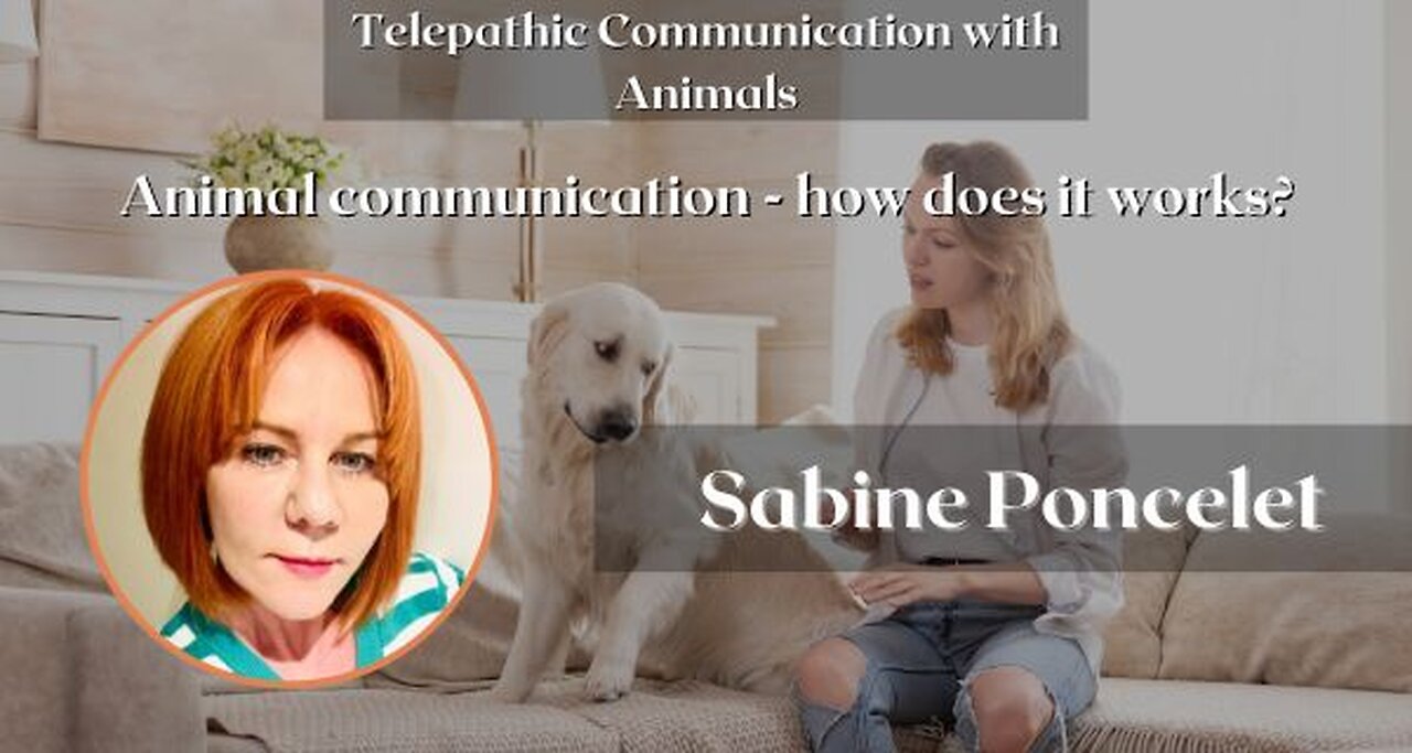 Animal communication - how does it works?