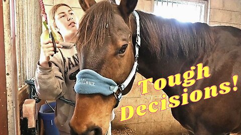 Making A Tough Decision! Should We Board Our Horse Again?