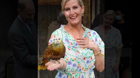 Updates and The Royal Tour