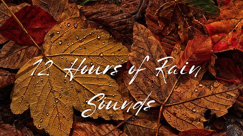12 Hours of Rain on Black Screen: Your Guide to Stress Relief and Deep Sleep