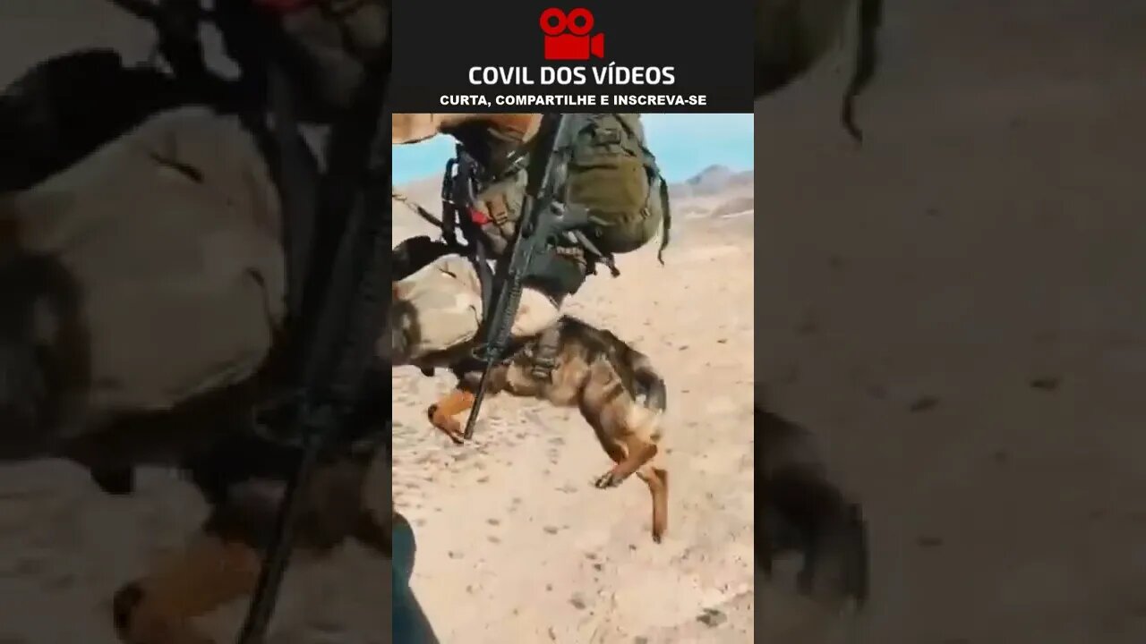 soldado pulando de helicóptero com cachorro #shorts