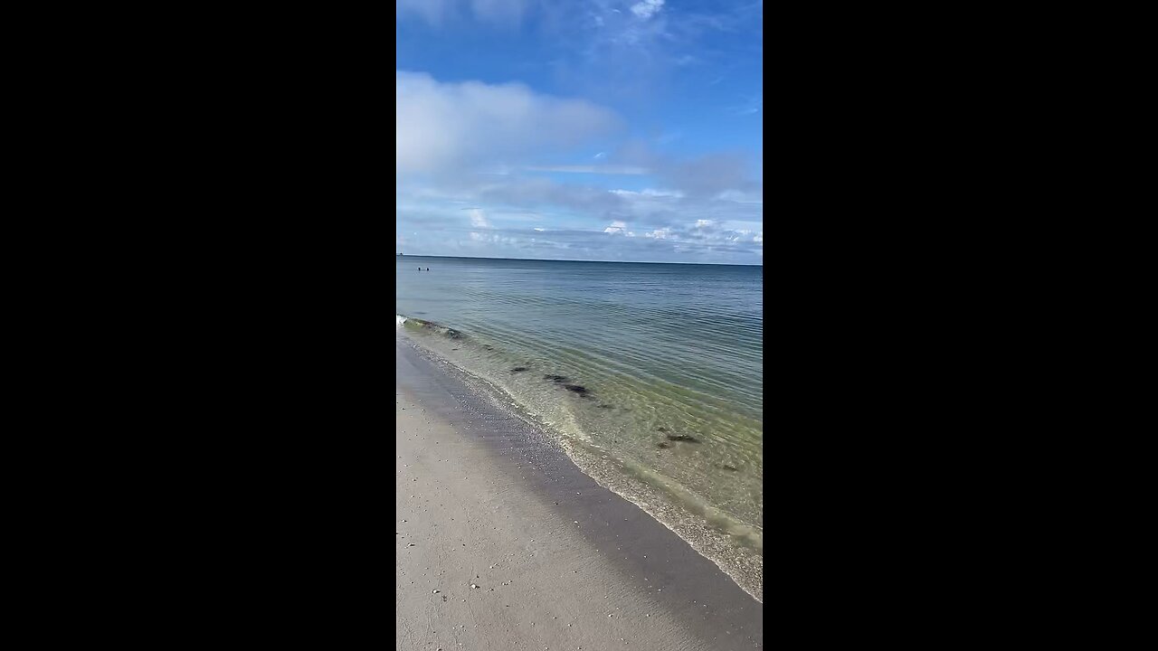 Livestream Replay - Lowdermilk Beach To Naples Pier Before Ian 9/16/22 #LiveStream