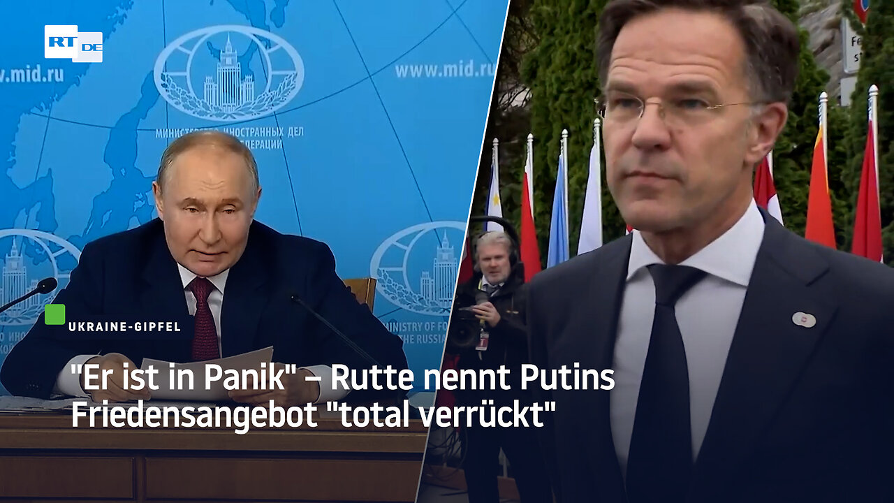 "Er ist in Panik" – Rutte nennt Putins Friedensangebot "total verrückt"