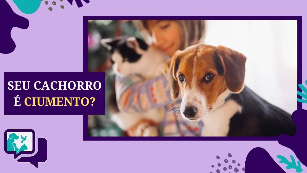 CACHORRO CIUMENTO, o que fazer?