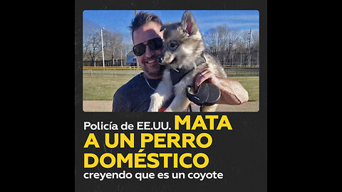 Agente mata a un perro doméstico tras confundirlo con coyote en EE.UU.